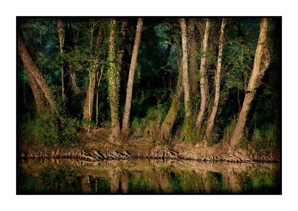 El Rincon De San Benito ξενώνας Cazalla de la Sierra Εξωτερικό φωτογραφία