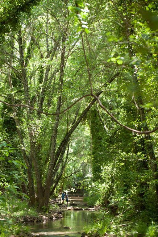 El Rincon De San Benito ξενώνας Cazalla de la Sierra Εξωτερικό φωτογραφία