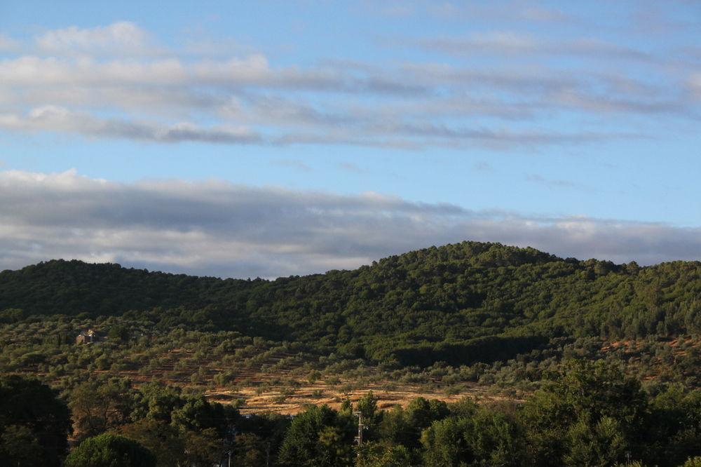 El Rincon De San Benito ξενώνας Cazalla de la Sierra Εξωτερικό φωτογραφία